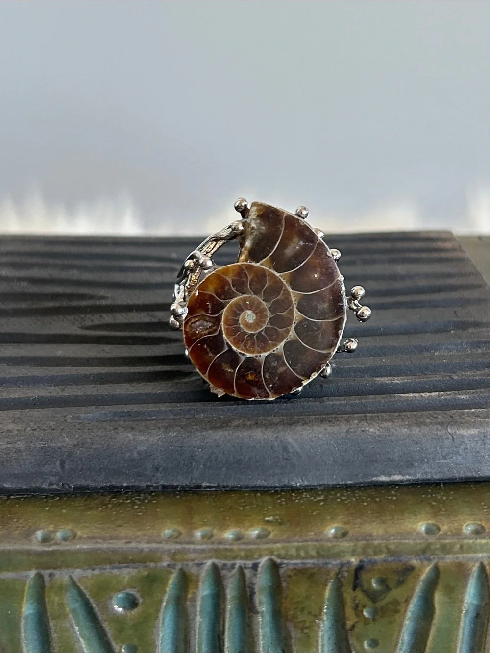 Handcrafted Brown Ammonite Shell Ring in Silver Setting